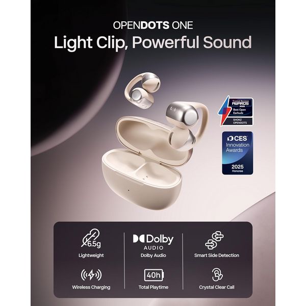 Shokz OpenDots ONE Grey